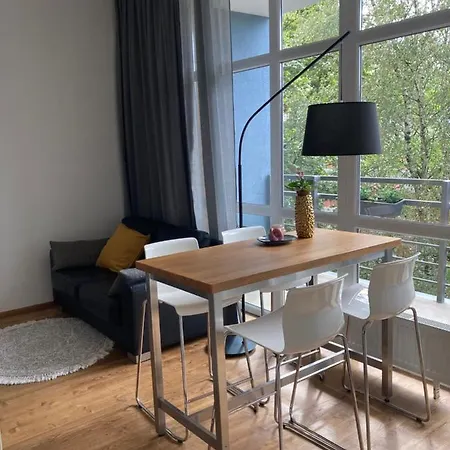 Dzelzavas 19/3 Apartament Ryga