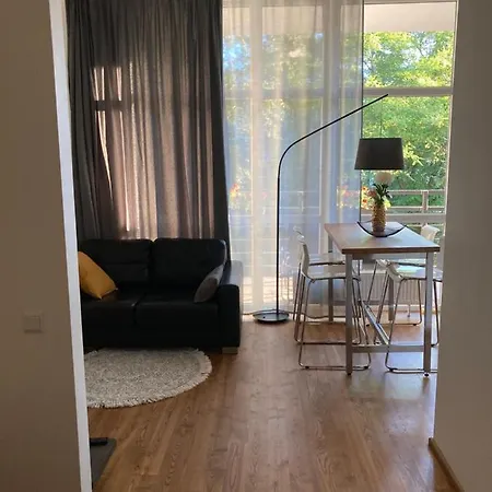Dzelzavas 19/3 Apartament *