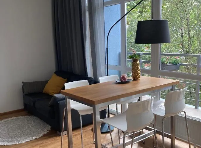 Dzelzavas 19/3 Apartment Riga