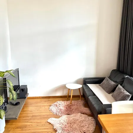 Dzelzavas 19/3 リガ